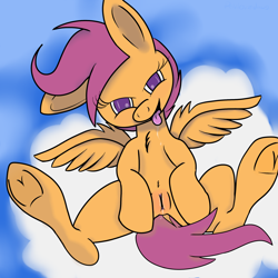 Size: 2000x2000 | Tagged: explicit, artist:php55, scootaloo, chest fluff, female, filly, foal, foalcon, g4, high res, imported from derpibooru, looking at you, nudity, solo, solo female, source needed, tongue out, underhoof, vaginal secretions, vulva