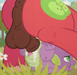 Size: 2300x2250 | Tagged: explicit, artist:tygre, spike, age difference, ahegao, and then spike was gay, anus, balls, big backintosh, big macintosh, butt, cloaca, cloacal penetration, cum, cum belly, cum inflation, dragon, dragon x pony, earth pony, foalcon, g4, gay, happy sex, high res, imported from derpibooru, impossible fit, inflation, interspecies, male, nudity, outdoor sex, outdoors, penis, penis size difference, plot, pony, pony on dragon action, sex, ship:spikentosh, shipping, size difference, stallion