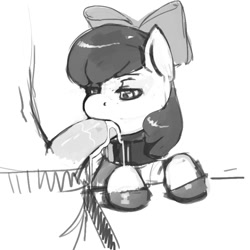 Size: 1000x1000 | Tagged: explicit, artist:kevinsano, apple bloom, blowjob, collar, female, filly, foal, foalcon, g4, grayscale, hippo snout, human, human male, human male on filly, human on pony action, human penis, imported from derpibooru, interspecies, male, monochrome, nudity, oral, penis, pony, straight