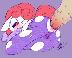 Size: 1280x1035 | Tagged: explicit, artist:florecentmoo, sweetie belle, anal, blushing, clothes, female, fishnet stockings, foalcon, g4, imported from derpibooru, legwear, looking back, male, nudity, penetration, penis, straight, torn clothes