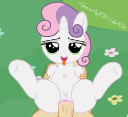 Size: 1476x1351 | Tagged: explicit, artist:an-tonio, artist:shutterflyeqd, sweetie belle, blushing, female, filly, foal, foalcon, fur, g4, human, human male, human male on filly, human on pony action, human penis, imported from derpibooru, interspecies, looking at you, male, nudity, penetration, penis, pony, sexy, show accurate, show accurate porn, straight, vaginal, wet