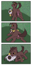 Size: 1800x3600 | Tagged: explicit, oc, oc:loki, oc:loki ebonhoof, 3 panel comic, anal, anus, artist needed, balls, colt, comic, enjoying, erection, flaccid, foal, foalcon, from front, gay, griffon, griffon on pony action, horsecock, imported from derpibooru, interspecies, lying down, lying on top of someone, male, nudity, oc only, oc x oc, penis, poki and goki, ponut, pony, reasonably sized genitals, reverse foalcon, reverse missionary position, sex, short mane, source needed, spread legs, spreading, unicorn, until they like it