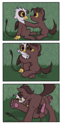 Size: 1800x3600 | Tagged: explicit, oc, oc:loki, oc:loki ebonhoof, anus, artist needed, balls, comic, foalcon, gay, griffon, imported from derpibooru, interspecies, male, nudity, oc only, oc x oc, paw pads, penis, poki and goki, pony, pony on griffon action, reasonably sized genitals