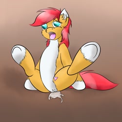 Size: 800x800 | Tagged: explicit, artist:vixyhooves, oc, oc:vixy hooves, ahegao, female, foalcon, genitals, imported from derpibooru, nudity, oc only, orgasm, pony, solo, solo female, underhoof, vaginal secretions, vulva