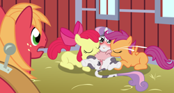Size: 7828x4204 | Tagged: explicit, artist:badumsquish, apple bloom, scootaloo, sweetie belle, absurd resolution, anus, barn, big macintosh, blushing, breastfeeding, calf, caught, clitoris, cmc threesome, cow, cow pony, cowbelle, cutie mark crusaders, derpibooru exclusive, earth pony, eyes closed, female, filly, foal, foalcon, freckles, g4, group sex, heart clitoris, horn, imported from derpibooru, lactation, lesbian, lesbian in front of boys, male, milk, milk squirt, milking, milking fetish, nudity, on back, open mouth, orgasm, original species, pegasus, pony, sex, ship:sweetiebloomaloo, shipping, show accurate, show accurate porn, species swap, spontaneous orgasm, stallion, suckling, threesome, udder, unicorn, unicow, vagina, vaginal secretions, varying degrees of want, vulva, vulvar winking