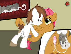 Size: 4225x3189 | Tagged: explicit, artist:sasukex125, babs seed, aftersex, anus, balls, cervical contact, cervix, clitoris, colt, creampie, cum, cum in uterus, cumming, dock, earth pony, eyes closed, female, filly, flaccid, foal, foalcon, g4, heart clitoris, imported from derpibooru, internal cumshot, kiss on the lips, kissing, male, missionary position, nudity, on back, penis, pipseed, pipsqueak, pony, reasonably sized genitals, sex, show accurate, show accurate porn, straight, taint, underhoof, uterus, vagina, vaginal, vaginal secretions, vulva, vulvar winking, x-ray