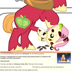 Size: 861x852 | Tagged: explicit, grimdark, grotesque, fluttershy, 4chan, 4chan screencap, abuse, background pony strikes again, banned, bathtub, big macintosh, big macintosh raping fluttershy, dead, earth pony, flutterbuse, foal abuse, foalcon, g4, go to sleep gladmane, imported from derpibooru, maggots, male, necrophilia, nudity, op is a duck, op is a twisted fuck, parody, penis, pony, poop, rape, scat, sex, shitposting, source needed, stallion, vulgar, why, wtf