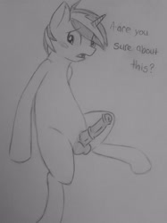 Size: 1918x2560 | Tagged: explicit, artist:subimaru_kai, oc, oc:snowy, balls, blushing, colt, erection, foal, foalcon, horsecock, implied gay, imported from derpibooru, male, nervous, nudity, oc only, penis, solo, solo male