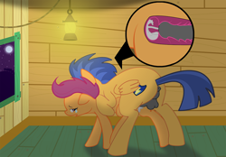 Size: 1000x694 | Tagged: explicit, grimdark, artist:rep, scootaloo, age difference, anus, balls, butt, creampie, crying, cum, cum in uterus, cumming, doggy style, female, filly, flash sentry, flash sentry raping scootaloo, foal, foalcon, from behind, full moon, g4, imported from derpibooru, internal cumshot, male, moon, nudity, open mouth, pegasus, penis, ponut, pony, rape, scootabuse, sentryass, sex, stallion, stallion on filly, straight, taint, uterus, vagina, vaginal, x-ray