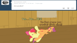 Size: 1600x901 | Tagged: explicit, apple bloom, scootaloo, ask, ask the perverted cmc, blog, cutie mark crusaders, female, foalcon, g4, imported from derpibooru, lesbian, sex, ship:scootabloom, tribadism, tumblr
