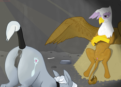 Size: 1400x1000 | Tagged: explicit, artist:autumnbramble, silver spoon, anatomically correct, anus, ass up, bedroom eyes, butt, crotchboobs, dark genitals, face down ass up, female, foalcon, g4, gilda, griffon, hay, imported from derpibooru, multiboob, multiple nipples, nipples, nudity, plot, ponut, servant spoon, slave, spread wings, tail wrap, teats, vaginal secretions, vulva, wings
