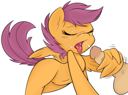 Size: 1280x950 | Tagged: explicit, artist:ambris, artist:arianfis, scootaloo, balls, belly button, blushing, cum, cumming, edit, eyes closed, facial, female, filly, foal, foalcon, g4, human, human male, human male on filly, human on pony action, human penis, imported from derpibooru, interspecies, male, nudity, open mouth, penis, pony, straight, tongue out, vector, wing hands, wingjob
