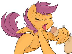 Size: 1280x958 | Tagged: explicit, artist:ambris, artist:arianfis, scootaloo, belly button, blushing, eyes closed, female, filly, foal, foalcon, g4, human, human male, human male on filly, human on pony action, human penis, imported from derpibooru, interspecies, male, nudity, open mouth, pegasus, penis, pony, straight, tongue out, vector, wingjob