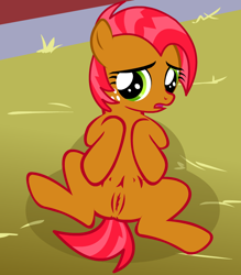 Size: 700x800 | Tagged: explicit, artist:kajio, babs seed, anus, barn, crotchboobs, earth pony, female, filly, foal, foalcon, freckles, g4, imported from derpibooru, nipples, nudity, on back, pony, solo, solo female, vulva