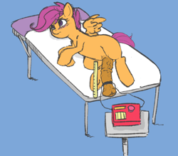 Size: 3011x2633 | Tagged: explicit, artist:kevinsano edits, artist:teraspell, scootaloo, derpibooru exclusive, edit, foalcon, futa, futa scootaloo, g4, high res, horsecock, imported from derpibooru, intersex, ketchup vein, nudity, penis, simple background, solo, solo futa, spread wings, table, vein, vein bulge, veiny cock, wings