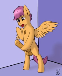 Size: 1791x2200 | Tagged: explicit, artist:whitesky, scootaloo, balls, bipedal, foalcon, futa, futa scootaloo, g4, imported from derpibooru, intersex, masturbation, nudity, penis, pony, solo, solo futa