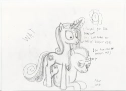 Size: 3507x2550 | Tagged: explicit, artist:paskanaakka, oc, oc:night fossil, anal, artist has joined the dark side, canon x oc, doggy style, foalcon, from behind, frown, futa, futa on male, futa princess cadance, g4, high res, imported from derpibooru, impregnation, intersex, magic, male, male pregnancy, monochrome, open mouth, oviposition, pony, pregnant, princess cadance, rapeface, sketch, smiling, telekinesis, traditional art, unicorn, vulgar, wide eyes, wingless, yandere, yo dawg