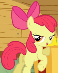 Size: 422x529 | Tagged: explicit, artist:jan, artist:opeegenetalia, apple bloom, comic:the presents, /mlp/ genitaliations, anatomically correct, anus, apple bloom's bow, ask the crusaders, bedroom eyes, bipedal, bipedal leaning, blank flank, bow, butt, earth pony, edit, explicit edit, female, filly, foal, foalcon, g4, golden eyes, hair bow, i can't believe it's not hasbro studios, imported from derpibooru, leaning, looking back, nsfw edit, nudity, open mouth, plot, ponut, pony, present, raised hoof, raised leg, red hair, red mane, red tail, show accurate, show accurate porn, solo, solo female, tail, tumblr, underhoof, vulva, yellow body, yellow coat, yellow fur, yellow pony