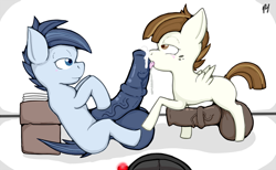 Size: 1000x617 | Tagged: explicit, artist:pfh, balls, balls on floor, big penis, blowjob, colt, colt on colt, cum, featherweight, foal, foalcon, g4, gay, hyper, imported from derpibooru, impossibly large balls, impossibly large penis, male, nudity, oral, penis, pony, reverse foalcon, sex, shady daze, shadyweight, shipping
