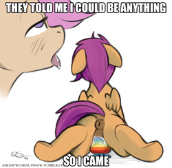 Size: 963x940 | Tagged: explicit, artist:cobaltsnow, scootaloo, ahegao, anus, dildo, female, foalcon, g4, image macro, imported from derpibooru, meme, nudity, ponut, sex toy, solo, solo female, they told me, vaginal secretions
