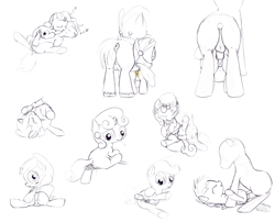 Size: 3708x3000 | Tagged: explicit, artist:a6p, apple bloom, rainbow dash, scootaloo, shining armor, sweetie belle, twilight sparkle, age difference, anal, anal orgasm, anus, applecest, balls, big macintosh, brother and sister, crotchboobs, cutie mark crusaders, dinky hooves, earth pony, faceless male, female, filly, foal, foalcon, from front, g4, hands free, high res, imported from derpibooru, incest, infidelity, male, missionary position, mounting, nipples, nudity, offscreen character, offscreen male, older male, orgasm, penetration, penis, ponut, pony, rear view, reasonably sized genitals, reverse missionary position, ruby pinch, sex, ship:macbloom, ship:shiningsparkle, shipping, siblings, simultaneous orgasm, spread legs, spreading, stallion, stallion on filly, straight, twicest, vaginal, vaginal secretions, vulva, younger female