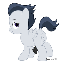 Size: 2000x2000 | Tagged: explicit, artist:sasukex125, all fours, anus, balls, bedroom eyes, colt, dock, eye, foal, foalcon, g4, high res, imported from derpibooru, looking at you, male, nudity, pegasus, penis, pony, presenting, rumble, smiling, solo, solo male, wings