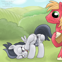 Size: 1000x1000 | Tagged: explicit, artist:smudge proof, age difference, anus, backsack, balls, big dom small sub, big macintosh, big macintosh's yoke, butt, colt, commission, earth pony, foal, foalcon, g4, gay, green eyes, harness, horse collar, imported from derpibooru, male, maledom, malesub, nudity, outdoors, pegasus, plot, pony, presenting, purple eyes, rumble, rumblemac, seduction, spreading, stallion, stallion on colt, submissive, tack