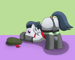 Size: 2200x1750 | Tagged: explicit, artist:pvryohei, balls, bedroom eyes, clothes, crossdressing, filly guides, foalcon, frilly underwear, g4, green underwear, hat, imported from derpibooru, legwear, looking at you, male, nudity, panties, panties pulled down, pegasus, penis, pony, precum, presenting, rumble, solo, solo male, stockings, thigh highs, underwear