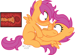 Size: 3895x2873 | Tagged: explicit, artist:sasukex125, scootaloo, oc, oc:tagalong, blushing, boop, brother and sister, canon x oc, colt, eye contact, female, filly, foal, foalcon, g4, high res, horsecock, imported from derpibooru, incest, looking at each other, male, noseboop, nudity, on back, penetration, penis, pony, scrunchy face, sex, shipping, show accurate, show accurate porn, siblings, simple background, straight, transparent background, twincest, twins, uterus, vaginal, vaginal secretions, wide eyes, x-ray