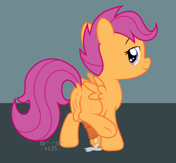 Size: 3430x3175 | Tagged: explicit, artist:sasukex125, scootaloo, anus, balls, cum, foalcon, full package futa, futa, futa scootaloo, g4, herm, high res, imported from derpibooru, intersex, nudity, pegasus, penis, pony, reasonably sized genitals, solo, solo futa, vagina, vaginal secretions