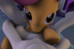 Size: 480x320 | Tagged: explicit, artist:fruitymilk, scootaloo, sweetie belle, 3d, animated, cunnilingus, female, female pov, foalcon, g4, gif, imported from derpibooru, lesbian, licking, looking at you, offscreen character, on back, oral, pov, ship:scootabelle, source filmmaker, tongue out
