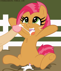 Size: 1024x1188 | Tagged: explicit, artist:overmare, artist:warumono1989, babs seed, aftersex, balls, blowjob, creampie, cum, cute, cute porn, earth pony, female, filly, foal, foalcon, g4, human, human male, human male on filly, human on pony action, human penis, imported from derpibooru, interspecies, looking up, male, nudity, offscreen character, oral, penis, pony, smiling, straight, underhoof, vaginal secretions, vulva