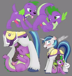 Size: 1525x1600 | Tagged: explicit, artist:muh-arts, artist:quartz-poker, shining armor, spike, armor, balls, blowjob, canine penis, caught, color edit, colored, cute, cute porn, dialogue, dog, edit, eyes closed, eyes on the prize, fangs, floppy ears, foalcon, g4, gay, genitals, horsecock, imported from derpibooru, infidelity, infidelity armor, interspecies, it's not what it looks like, knot, looking back, male, nudity, open mouth, oral, penis, penis hat, presenting, scared, selfcest, ship:spikemor, sitting, smiling, spike the dog, standing, sucking, tail wrap, tongue out, unshorn fetlocks, wide eyes