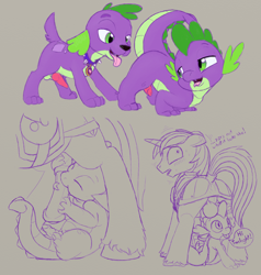 Size: 1525x1600 | Tagged: explicit, artist:quartz-poker, shining armor, spike, adultery, armor, balls, blowjob, canine penis, caught, cute, cute porn, dialogue, dog, eyes closed, eyes on the prize, fangs, floppy ears, foalcon, g4, gay, genitals, horsecock, imminent sex, imported from derpibooru, infidelity, infidelity armor, interspecies, it's not what it looks like, knot, looking at butt, looking back, male, nudity, open mouth, oral, partial color, penis, presenting, scared, selfcest, ship:spikemor, sitting, sketch, sketch dump, smiling, spike the dog, standing, sucking, tail wrap, tongue out, unshorn fetlocks, wide eyes, wingless spike