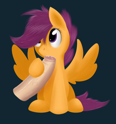 Size: 1200x1280 | Tagged: explicit, artist:grumblepluck, scootaloo, blowjob, cock worship, disembodied penis, female, foalcon, foreskin, g4, human, human on pony action, human penis, imported from derpibooru, just the tip, male, nudity, oral, pegasus, penis, pony, spread wings, straight, wings