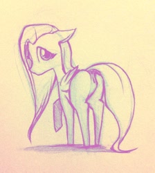 Size: 612x682 | Tagged: explicit, artist:cobaltsnow, fluttershy, anus, female, foalcon, g4, imported from derpibooru, monochrome, nudity, sketch, solo, solo female, traditional art, vagina, younger