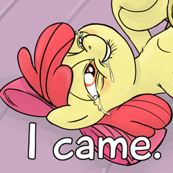 Size: 1000x1000 | Tagged: questionable, artist:smudge proof, apple bloom, female, foalcon, g4, i came, implied orgasm, imported from derpibooru, reaction image, solo, solo female
