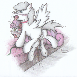 Size: 948x949 | Tagged: explicit, artist:patoriotto, sweetie belle, oc, anal, anal secretions, anus, balls, blushing, bondage, canon x oc, drool, foalcon, futa, futa oc, g4, glasses, imported from derpibooru, intersex, nudity, penis, pixiv, rope, sex, vulva, wingboner