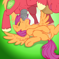 Size: 850x850 | Tagged: explicit, artist:poprocks, scootaloo, balls, big macintosh, blowjob, clopping, deepthroat, dock, drool, earth pony, foalcon, g4, hoofing, horsecock, imported from derpibooru, male, masturbation, nudity, on back, oral, penis, pony, sex, ship:scootamac, smiling, spread wings, stallion, straight, throat swabbing, tongue out, vaginal secretions, vulva, wings