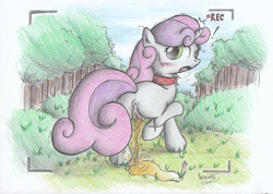 Size: 1339x952 | Tagged: explicit, artist:patoriotto, sweetie belle, anus, blushing, butt, camera, camera shot, collar, female, filly, foal, foalcon, g4, imported from derpibooru, nudity, outdoors, pissing, pixiv, plot, pony, recording, solo, solo female, surprised, unicorn, urine, using the bathroom in the woods, vulva, watersports