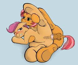 Size: 2400x2000 | Tagged: explicit, artist:riscke, babs seed, scootaloo, anal, anus, balls, blushing, ear bite, foalcon, futa, futa babs seed, g4, imported from derpibooru, intersex, nudity, penis, sex, spreading, sweat, underhoof, vaginal secretions, vulva