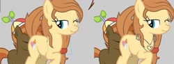 Size: 500x183 | Tagged: explicit, artist:tiarawhy, button mash, oc, oc:cream heart, age difference, apron, button mash's milf quest, button's adventures, canon x oc, clothes, colt, colt on mare, cunnilingus, earth pony, earth pony oc, female, foal, foalcon, g4, imported from derpibooru, incest, male, mare, mother and child, mother and son, oral, pony, scrunchy face, ship:buttoncest, show accurate, show accurate porn, straight, straight shota