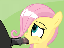 Size: 659x501 | Tagged: explicit, artist:mittsies, fluttershy, animated, blowjob, female, filly, foal, foalcon, g4, gif, horsecock, imported from derpibooru, male, nudity, oral, penis, sex, straight, younger