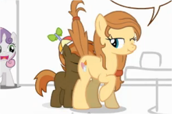Size: 356x238 | Tagged: questionable, artist:tiarawhy, button mash, sweetie belle, oc, oc:cream heart, age difference, button mash's milf quest, button's adventures, canon x oc, colt, colt on mare, cunnilingus, earth pony, earth pony oc, female, foal, foalcon, g4, imported from derpibooru, incest, male, mare, mother and child, mother and son, no exceptions, pony, scrunchy face, ship:buttoncest, straight, straight shota