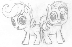 Size: 1083x717 | Tagged: explicit, artist:a6p, babs seed, scootaloo, anus, butt, butt to butt, doubleheaded dildo, earth pony, female, filly, foal, foalcon, g4, imported from derpibooru, lesbian, monochrome, nudity, pegasus, plot, pony, sex toy, spread wings, vulva, wings