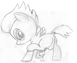 Size: 1700x1400 | Tagged: explicit, artist:a6p, anus, balls, blushing, butt, colt, dock, foal, foalcon, g4, imported from derpibooru, looking at you, male, monochrome, nudity, pegasus, penis, plot, pony, precum, presenting, raised leg, raised tail, rumble, solo, solo male, spread wings, tail, traditional art, wingboner, wings