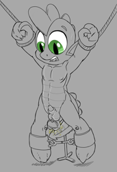 Size: 1712x2500 | Tagged: explicit, artist:smudge proof, spike, adorasexy, balls, bondage, cute, dildo, dragon, foalcon, g4, imported from derpibooru, male, muscles, nipples, nudity, penis, rope, sex toy, sexy, solo, solo male, suspended, vibrator