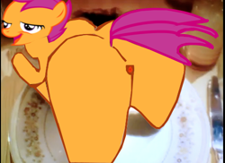 Size: 486x354 | Tagged: explicit, scootaloo, anus, chickun, exploitable meme, female, foalcon, forced meme, g4, imported from derpibooru, meme, plate, solo, solo female