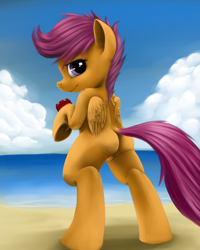 Size: 2000x2500 | Tagged: explicit, artist:tres-apples, scootaloo, beach, butt, dr pepper, female, foalcon, g4, imported from derpibooru, looking at you, nudity, pegasus, plot, pony, solo, solo female, vulva