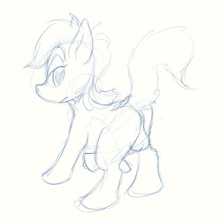 Size: 1600x1600 | Tagged: explicit, oc, anus, artist needed, balls, butt, foalcon, futa, futa oc, herm, imported from derpibooru, intersex, nudity, oc only, penis, plot, sketch, solo, solo futa, source needed, vagina